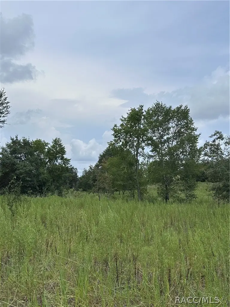 131 N Tighe Drive, Inverness, FL 34453 - #1