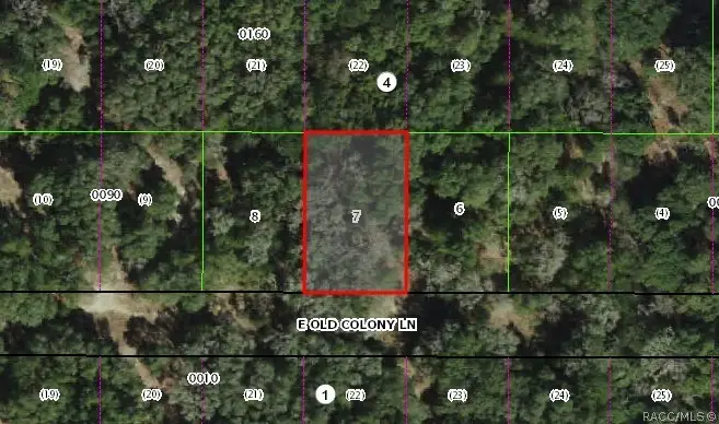 2037 E Old Colony Lane, Inverness, FL 34453 - #1