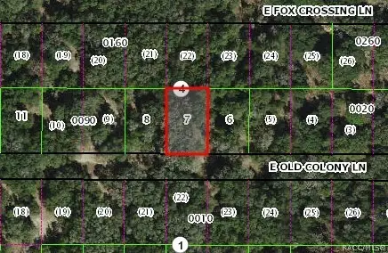 2037 E Old Colony Lane, Inverness, FL 34453 - #3