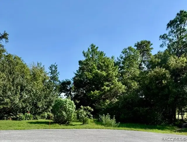 15 Quailwood Path, Homosassa, FL 34446 - #1