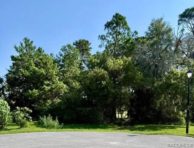15 Quailwood Path, Homosassa, FL 34446 - #2
