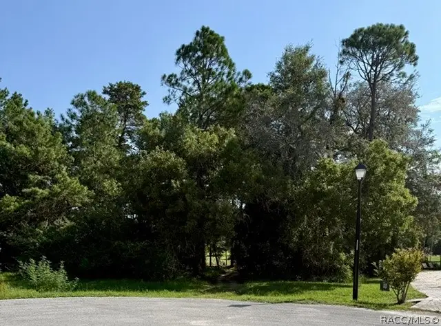 15 Quailwood Path, Homosassa, FL 34446 - #3