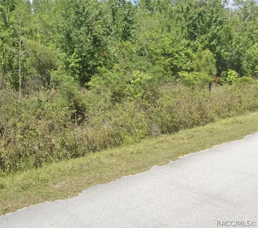 TBD Oil Well Road, Clermont, FL 34714 - #2