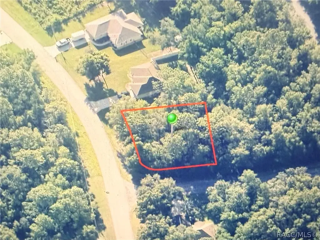 9184 N Golfview Drive, Citrus Springs, FL 34434 - #1