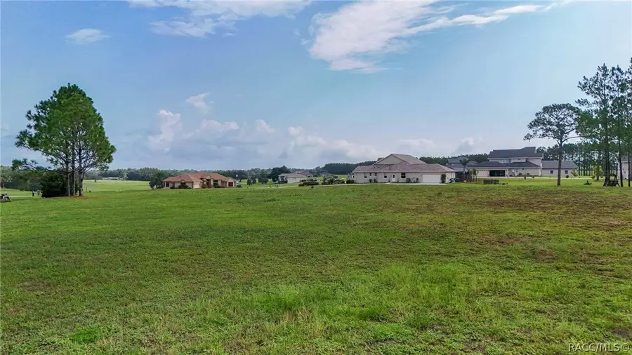 460 N Lake Shenandoah Loop, Inverness, FL 34453 - #3