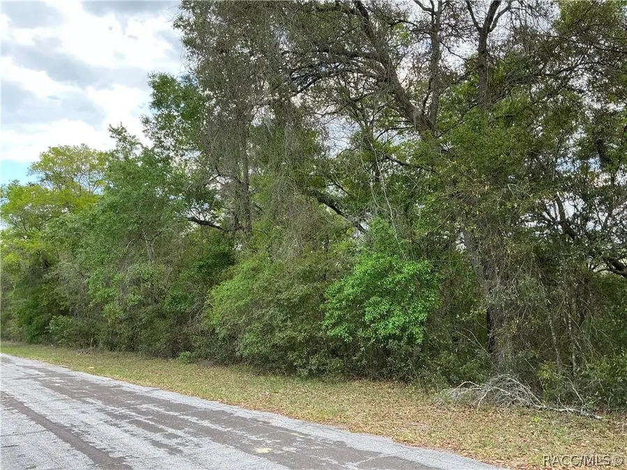 1670 W Beach Plum Drive, Citrus Springs, FL 34434 - #3