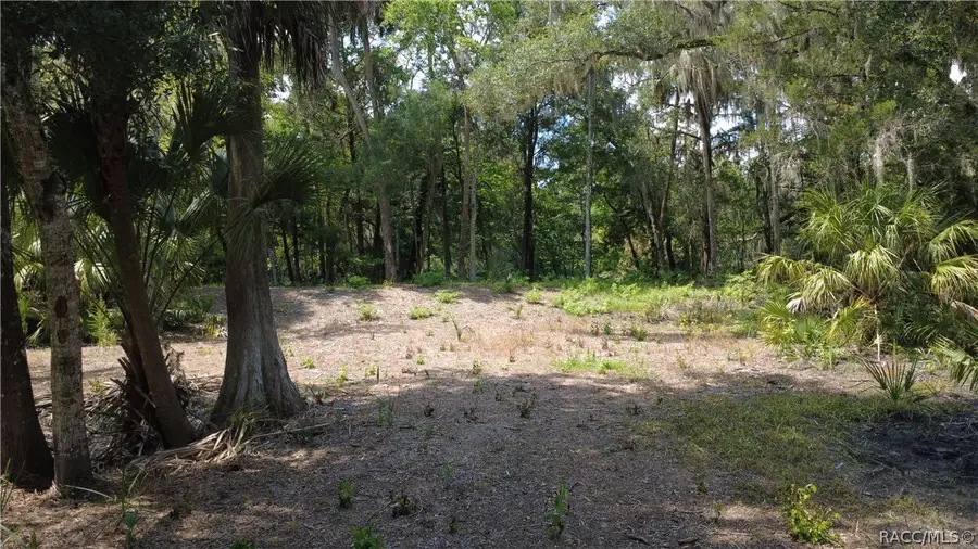 12445 W Foss Groves Path, Inglis, FL 34449 - #2