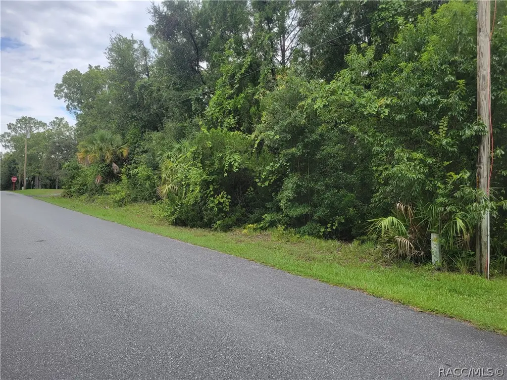 736 N Pompeo Avenue, Crystal River, FL 34429 - #1