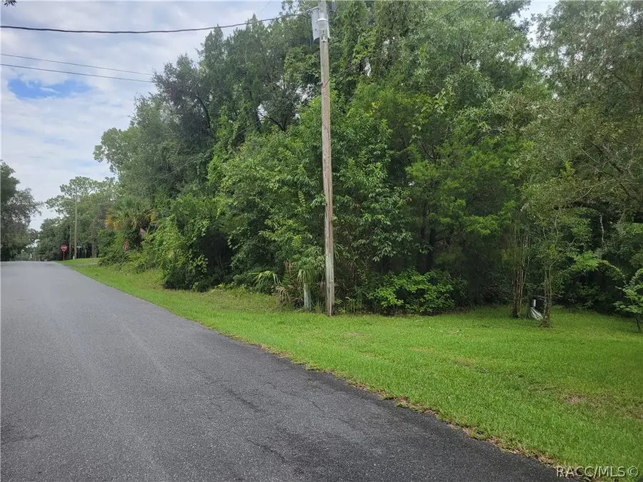 736 N Pompeo Avenue, Crystal River, FL 34429 - #2