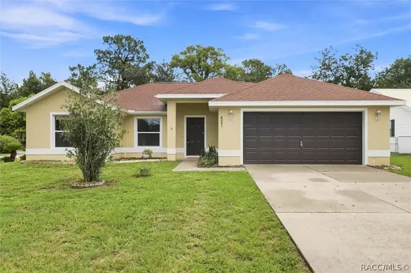4051 S Winding Oaks Drive, Homosassa, FL 34446