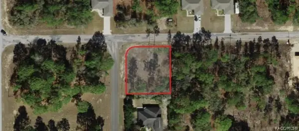 1650 W Lamplighter Street, Citrus Springs, FL 34434