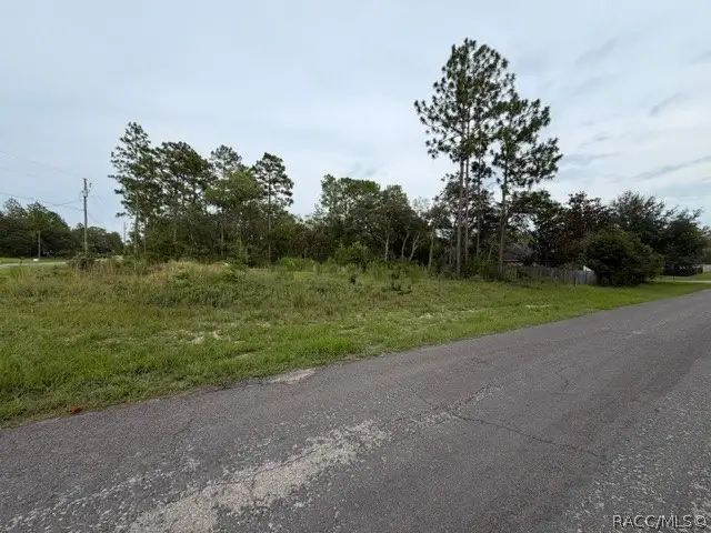 1650 W Lamplighter Street, Citrus Springs, FL 34434 - #2