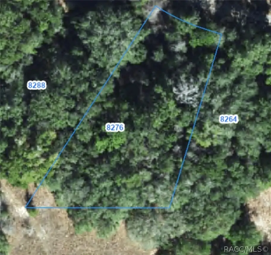 8276 N Elida Avenue, Citrus Springs, FL 34434 - #1
