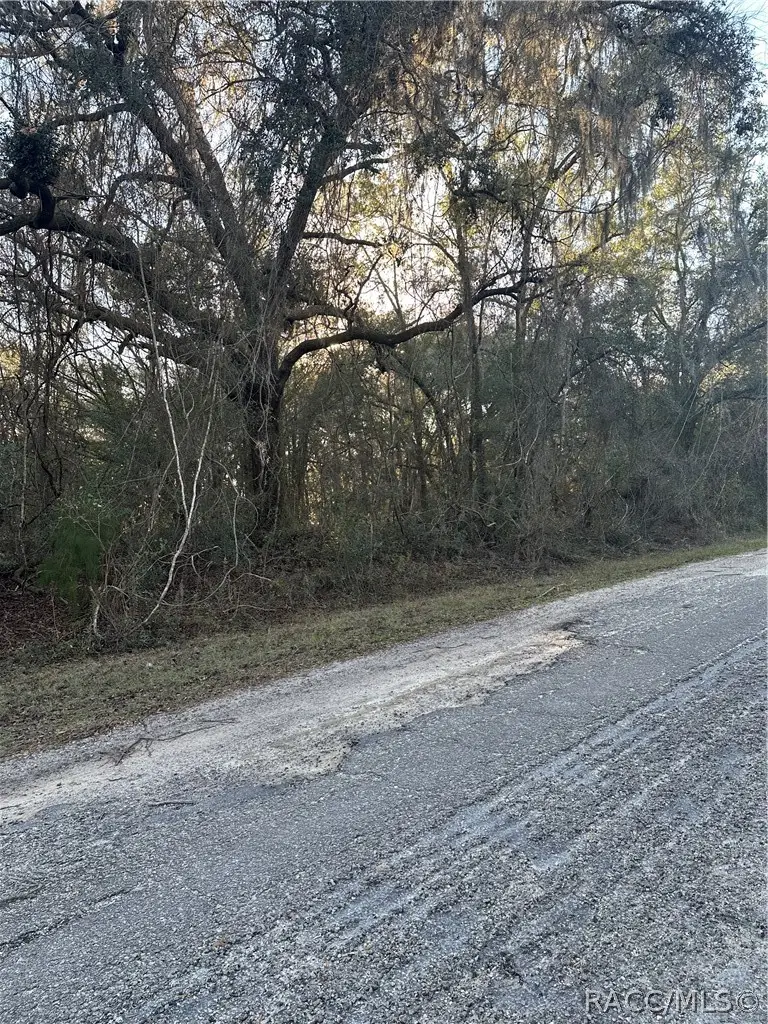8276 N Elida Avenue, Citrus Springs, FL 34434 - #2