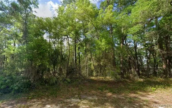 10912 N Airway Loop, Citrus Springs, FL 34434