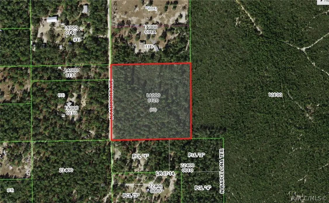 7325 N Fairport Avenue, Dunnellon, FL 34433 - #1
