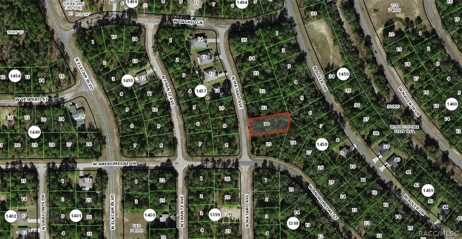 11031 N Mataro Avenue, Citrus Springs, FL 34434 - #3