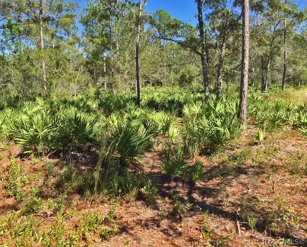 8503 W Freemont Street, Homosassa, FL 34448