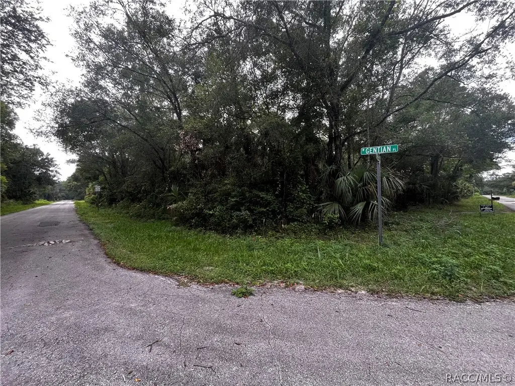 8624 N Barberry Way, Crystal River, FL 34428 - #1