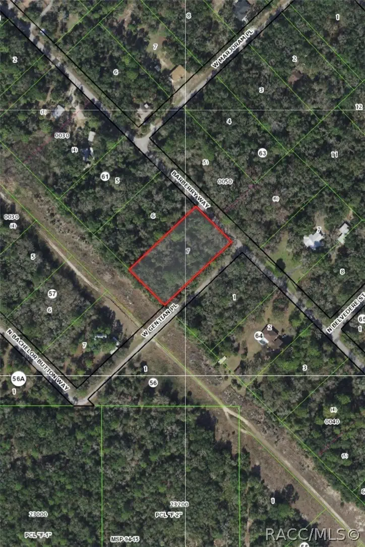 8624 N Barberry Way, Crystal River, FL 34428 - #2