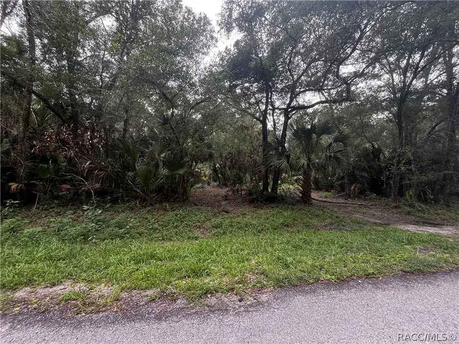 8624 N Barberry Way, Crystal River, FL 34428 - #3