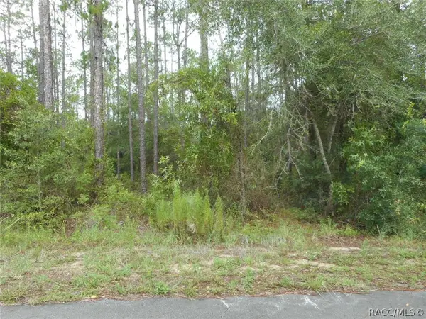 L5 SW Southview Court, Dunnellon, FL 34431