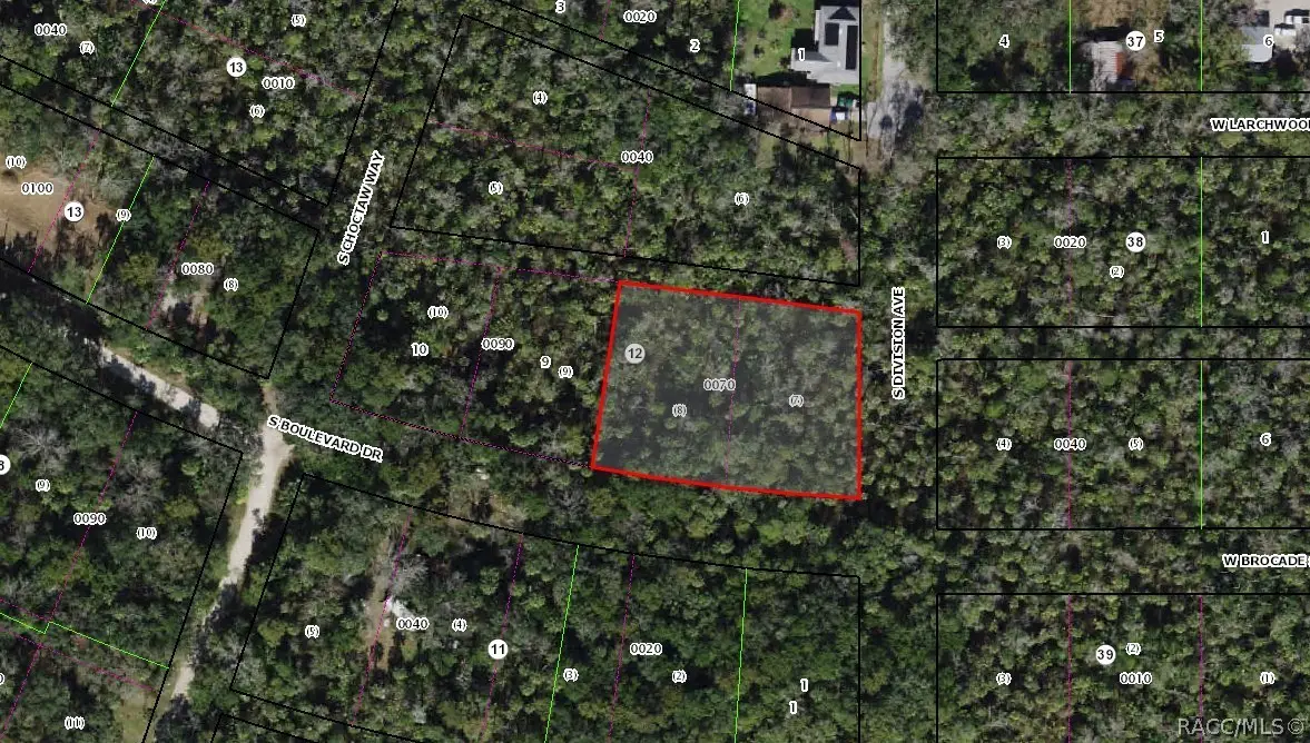 5797 S Boulevard Drive, Homosassa, FL 34448 - #1