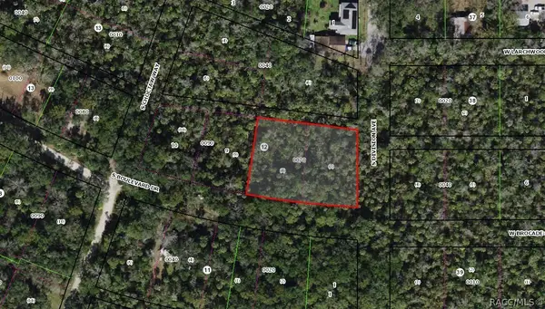 5797 S Boulevard Drive, Homosassa, FL 34448