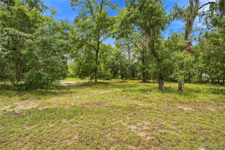 4734 S Slash Pine Avenue, Homosassa, FL 34446 - #2