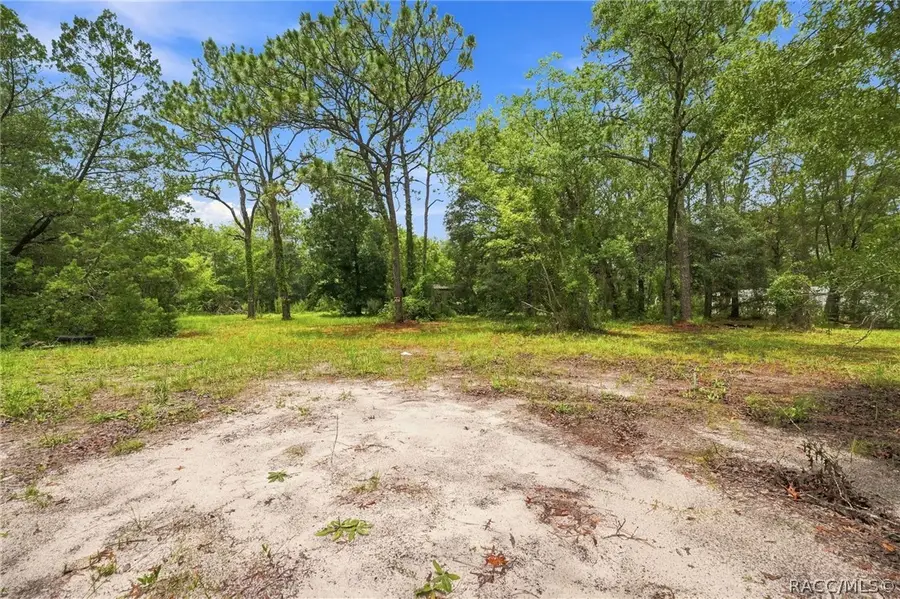 4734 S Slash Pine Avenue, Homosassa, FL 34446 - #3