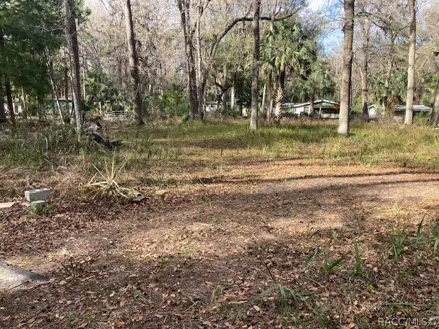 2456 N Jungle Camp Road, Inverness, FL 34453 - #1
