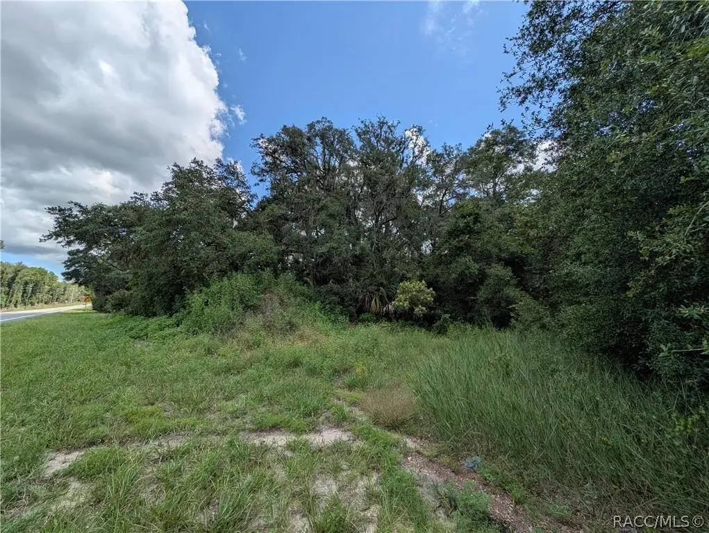 6451 N Carl G Rose Highway, Hernando, FL 34442 - #1