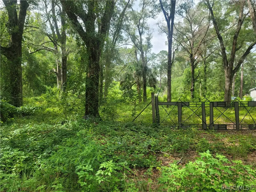 10837 SW 153rd Lane, Dunnellon, FL 34432 - #1