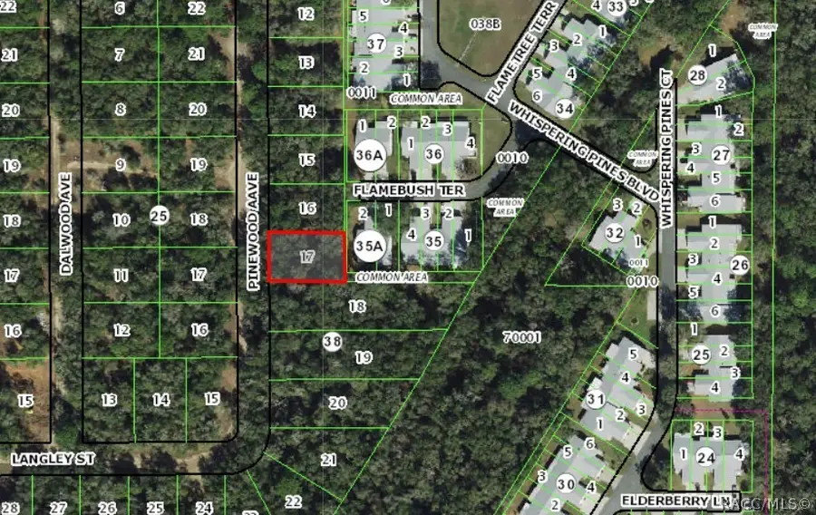 612 Pinewood Avenue, Inverness, FL 34453 - #2