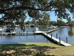 11014 W Cove Harbor Drive, Crystal River, FL 34428 - #3