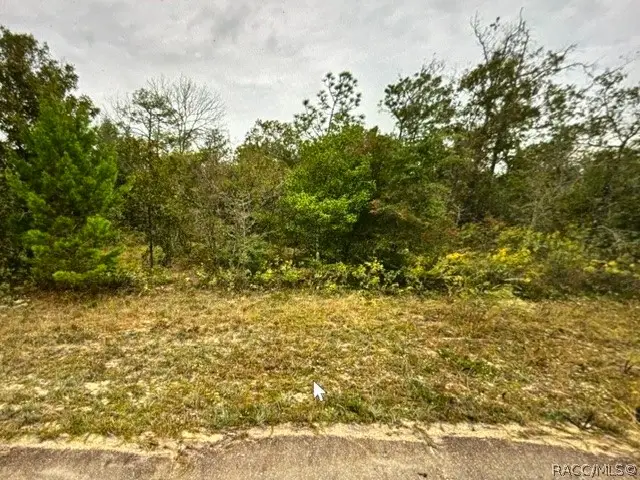 Lot 18 Oslo Place, Chipley, FL 32428 - #2