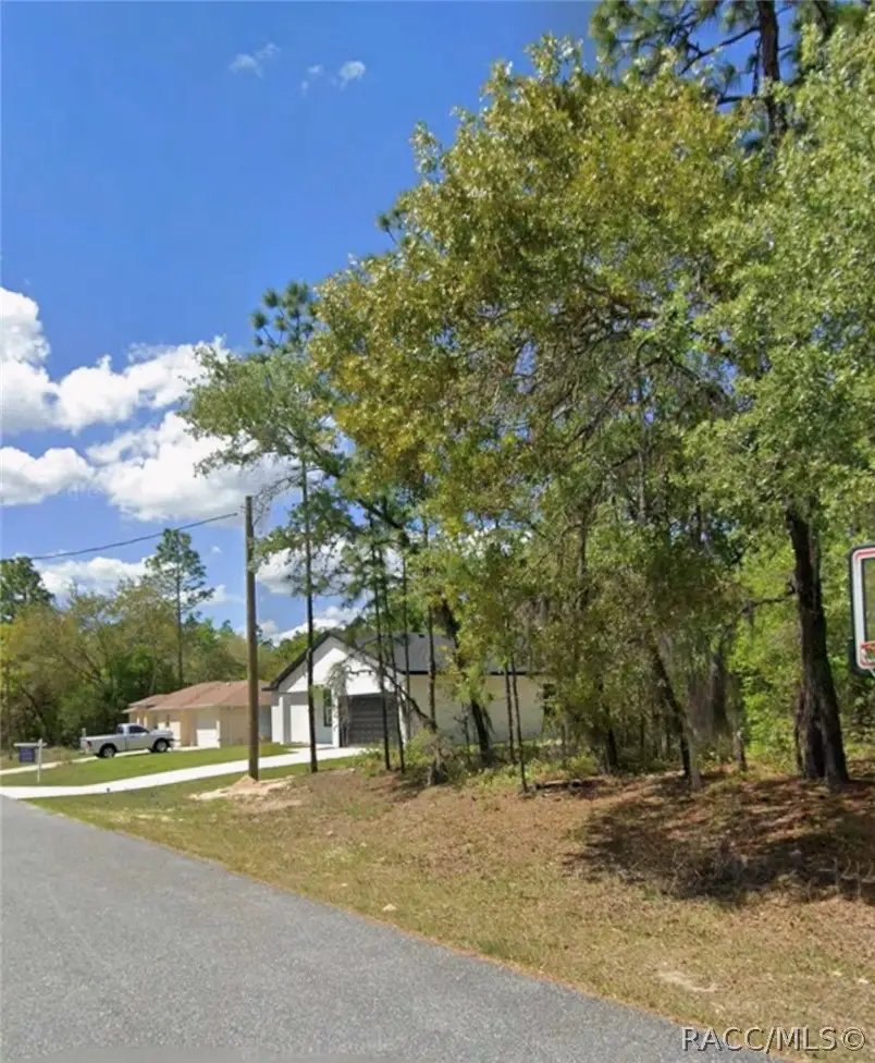 1541 W Elder Lane, Citrus Springs, FL 34434 - #1