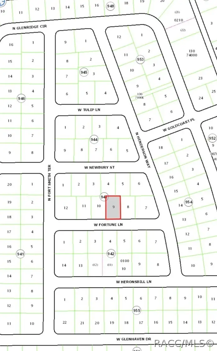 599 W Fortune Lane, Citrus Springs, FL 34434 - #2