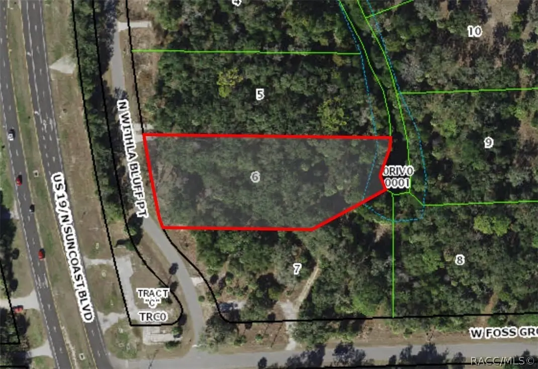 11043 N Withla Bluff Point, Inglis, FL 34449 - #1