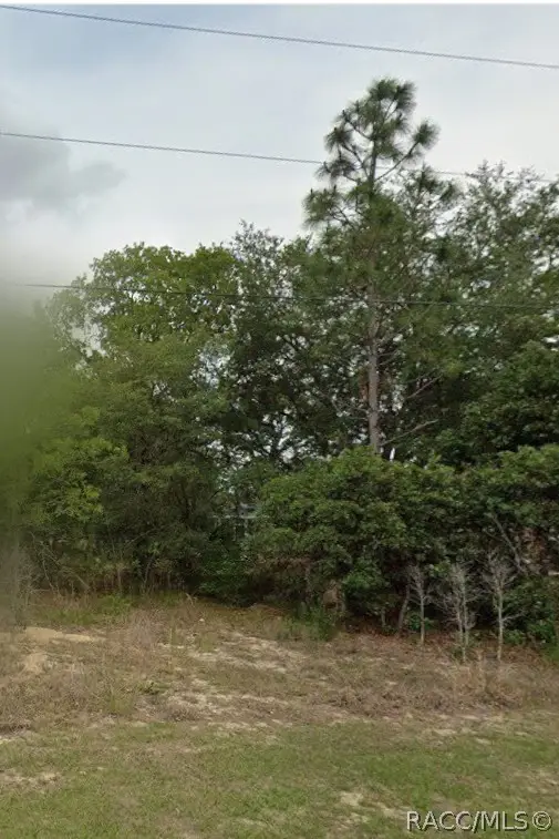 2059 W Paragon Lane, Dunnellon, FL 34434 - #3