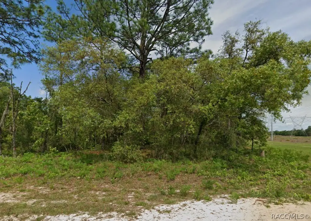 6895 N Varsity Avenue, Dunnellon, FL 34434 - #1
