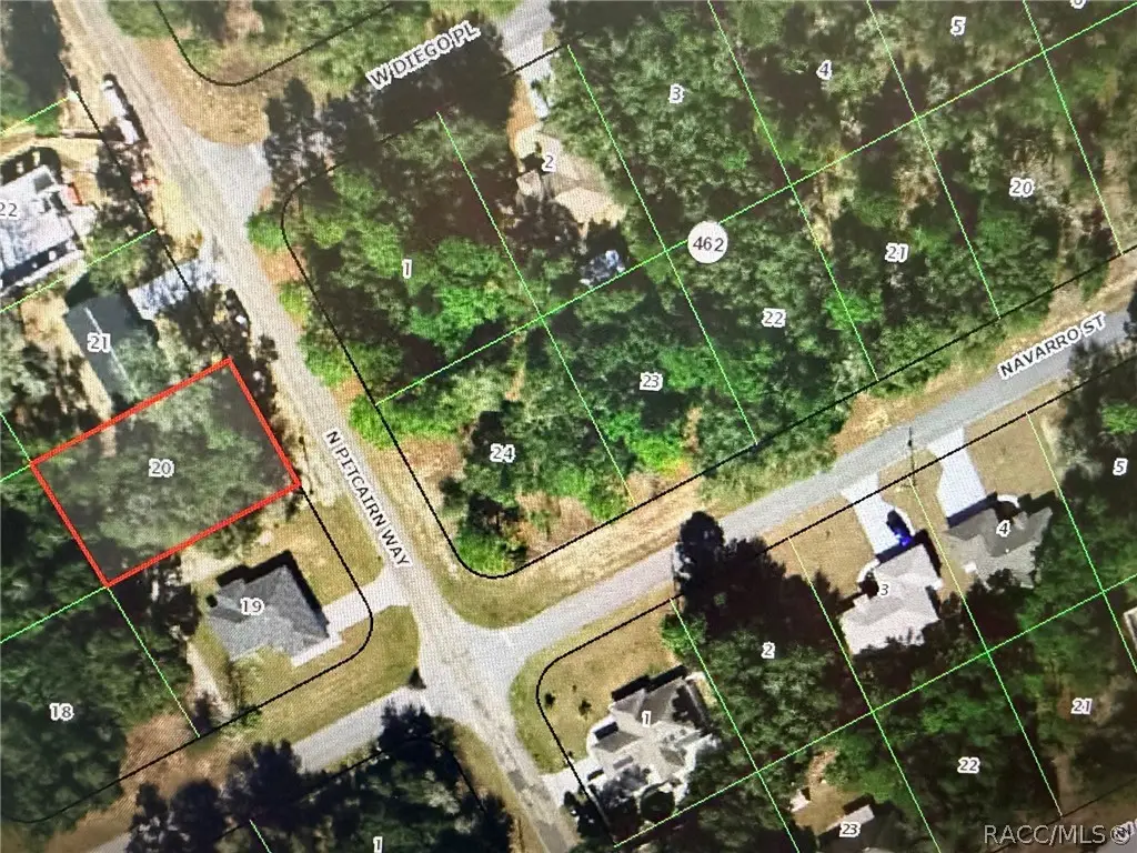8180 N Pitcairn Way, Citrus Springs, FL 34434 - #1