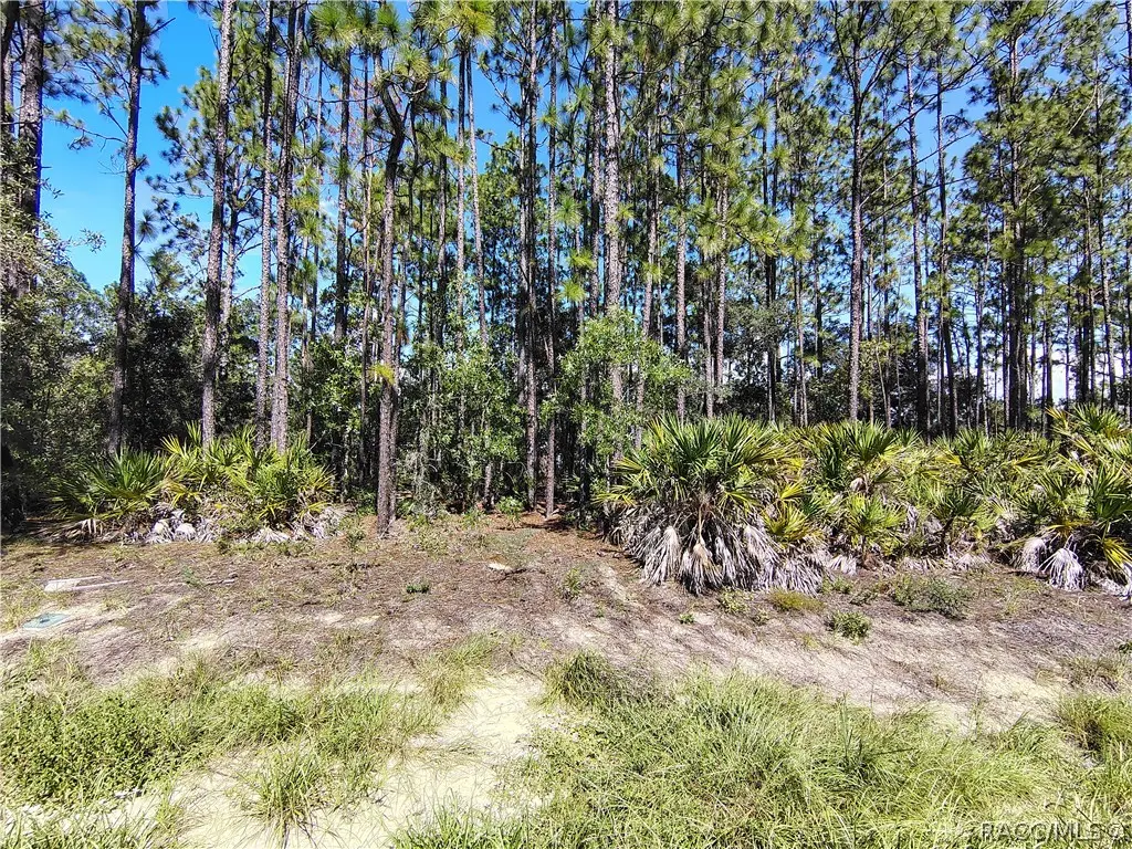 1930 W Wavecrest Drive, Dunnellon, FL 34434 - #1