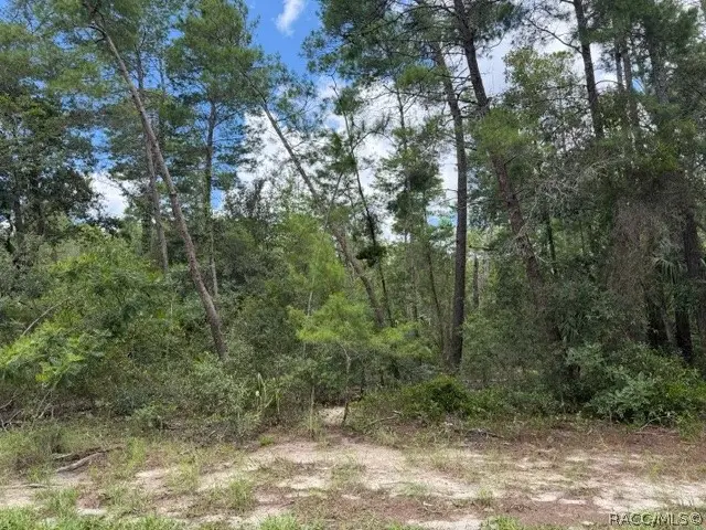 13, 15, & 16 Petunias Court, Homosassa, FL 34446 - #1