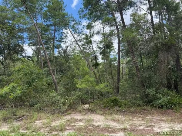 13, 15, & 16 Petunias Court, Homosassa, FL 34446