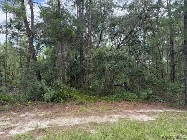 13, 15, & 16 Petunias Court, Homosassa, FL 34446 - #2