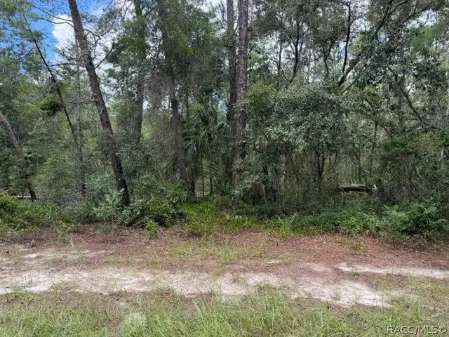 13, 15, & 16 Petunias Court, Homosassa, FL 34446 - #3