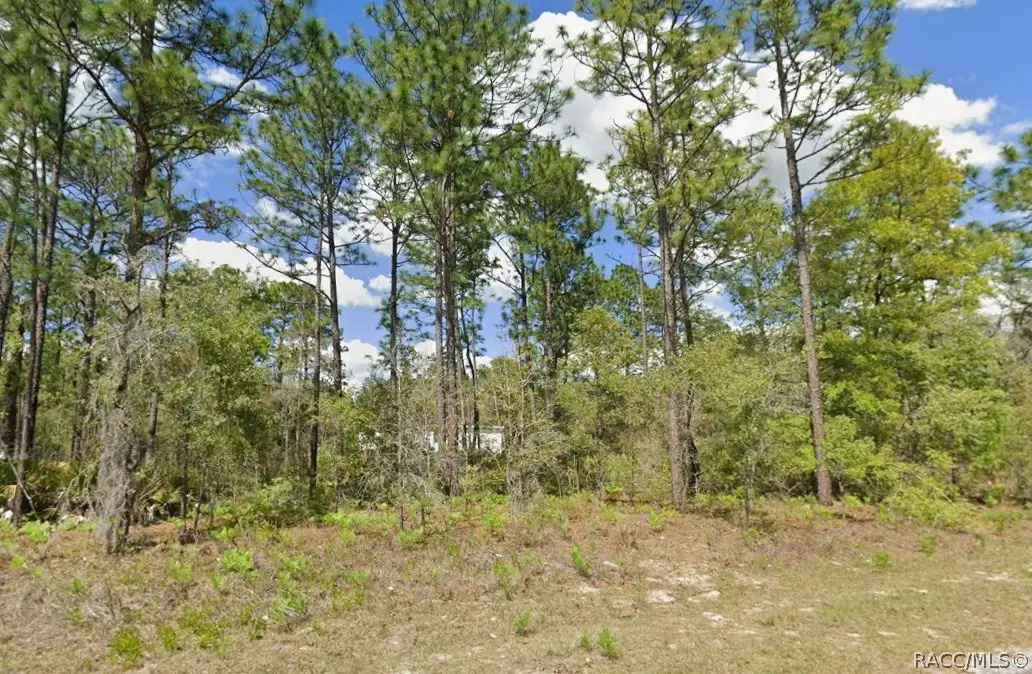 2175 W Galaxy Lane, Dunnellon, FL 34434 - #1