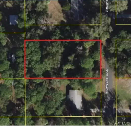 3408 N Olive Avenue, Crystal River, FL 34428 - #2