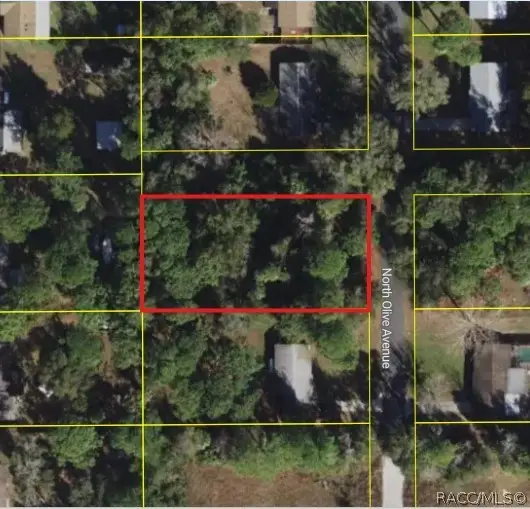 3408 N Olive Avenue, Crystal River, FL 34428 - #3